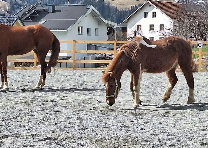 Appartamento Reiterhof Romanasa *