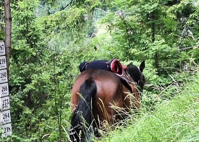 Reiterhof Romanasa Appartamento