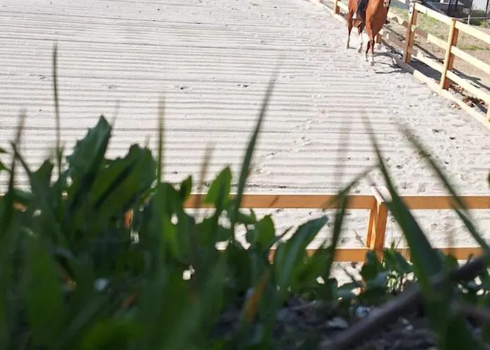 Reiterhof Romanasa Appartamento