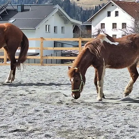 Apartment Reiterhof Romanasa *