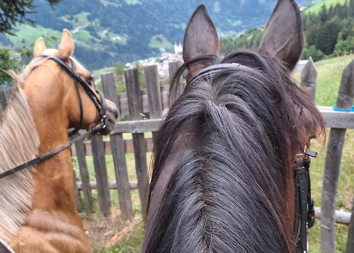 Apartment Reiterhof Romanasa *