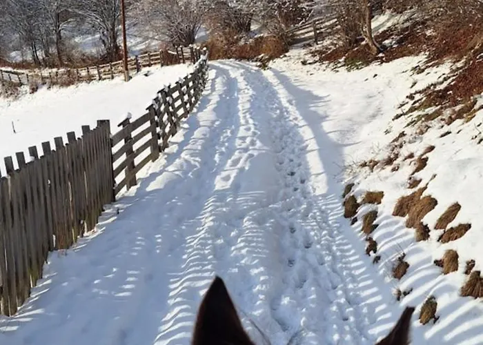 Apartment Reiterhof Romanasa Fliess