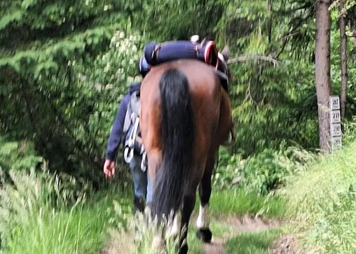 Reiterhof Romanasa *