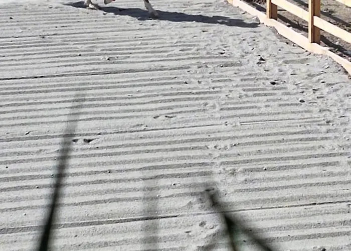 Reiterhof Romanasa Fliess