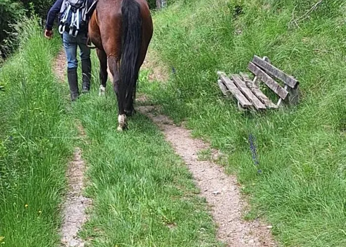 Reiterhof Romanasa *