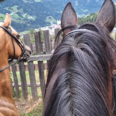 Lejlighed Reiterhof Romanasa *