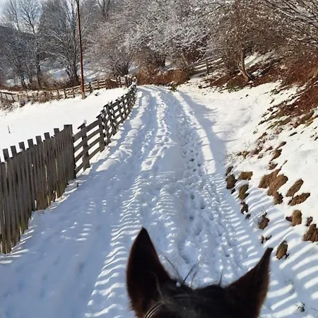 Lejlighed Reiterhof Romanasa Fliess